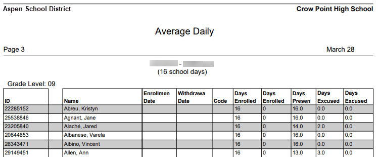 Average daily report example.