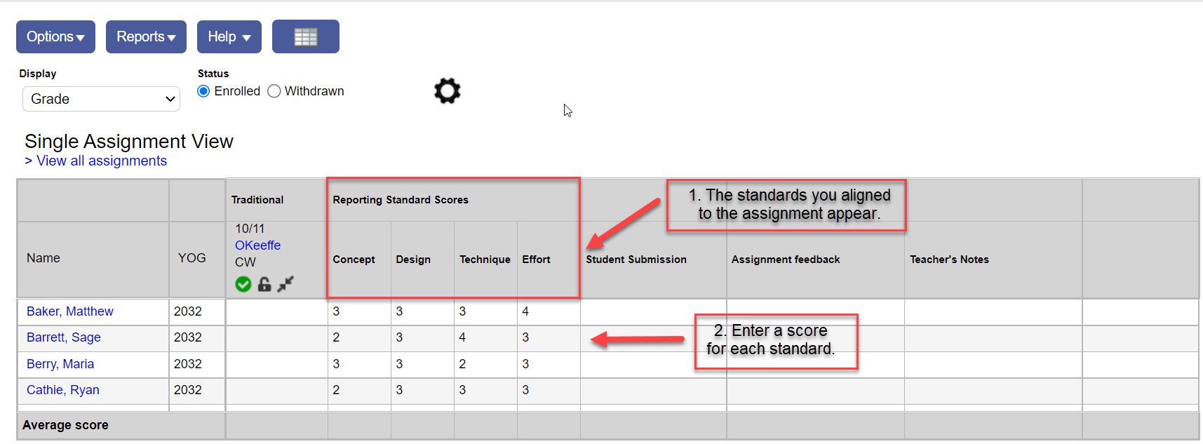 Single assignment view with Standards highlighted.